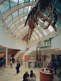 遮陽板案例分享 豐嘉 富三 有限公司 natural history cultural architecture museum