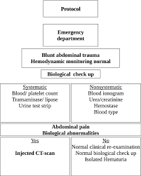 Image result for PECARN Pediatric Intra-Abdominal Injury Algorithm