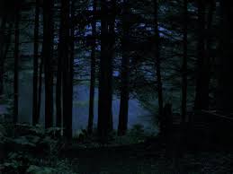 Seeking And Hide Night In The Wood Dark Forest Moonlight Painting