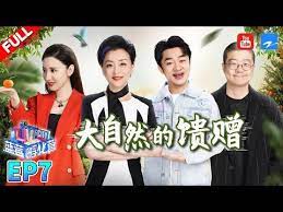 中国浙江卫视官方频道zhejiang stv official channel 欢迎订阅 youtube baseball cards cards actors