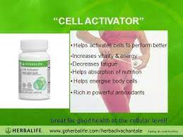 Google Herbalife Herbalife Nutrition Herbalife Nutrition Facts