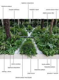 Actuele Informatie Tuin En Landschap Shade Plants Plants Landscaping Plants