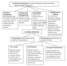 Cbse Class 12 Biology Strategies For Enhancement In Food