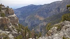 Image result for Little Catnip Spring - Sheldon Refuge Winnemucca NV