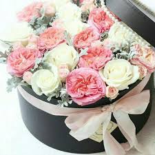 We did not find results for: Flower Box Products List Catalogue Flower Boxes Birthday Flowers Bouquet Beautiful Rose Flowers