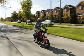 2015 honda grom top speed run+shenanigans. 2014 Honda Grom Around The Block
