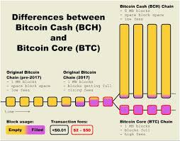 Bitcoin Cash Is Bitcoin Get Started Bitcoin Com