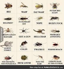 funsubstance fresh insect identification bug identification house bugs