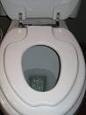 Toilet insert