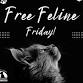 Free Feline Friday @ Bloomington Animal Care & Con... event in Bloomington, IN