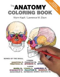 Here's a relatively less scary skull coloring page of la calavera catrina, also known as the elegant skull and dapper skeleton. Anatomy Coloring Book The 4th Edition Pearson