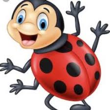 Shorman's pest control asub kohas boynton beach. Lady Bug Pest Control Of Florida Pest Control Palm Beach Fl Phone Number Yelp