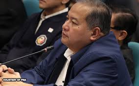 Hindi ako utak ng mga ghost project