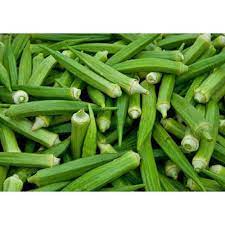 Okra vegetable, also known as lady finger or gumbo is a green vegetable. Fresh Lady Finger Fresh Lady Finger Okra Ladyfinger Lady Finger à¤­ à¤¡ Indian Crops Exporters Nagpur Id 15612848497
