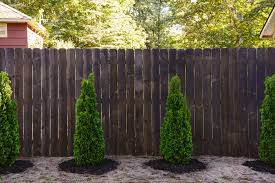 Staining Our Fence Black Staining Wood Fence Black Fence Paint Fence Paint
