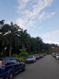 Ramai pengguna jalan raya tersebut telah diganggu. Tripify Hiking Trail Bukit Botak Puncak Alam Starting Point Kuala Selangor