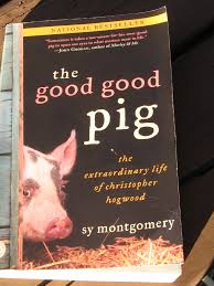 19 unlikely animals who are best friends unusual animals, cute animals, funny animal pictures. Get A Camel Que Sera Sera Whatever Will Be Will Be