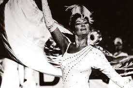 Image result for Blu Davis 1988 Fleet