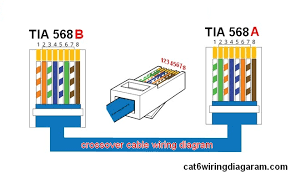 Trim the outer sheath back about 10mm to expose the inner conductors. Cat 5 Cat 6 Wiring Diagram Color Code