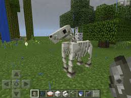 In minecraft, an arrow of poison (0:11) is a weapon that you shoot using your bow. Gah The Minecraft Update Came Out Its A Skeleton Horse Tipped Arrows Horses More Horses Horse Armor Gal Skeleton Horse Horse Armor Minecraft Creations