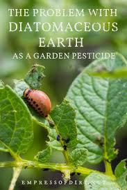 When dry, diatomaceous earth appears in this article, i'm referencing food grade diatomaceous earth, which the fda classifies. The Problem With Diatomaceous Earth As A Pesticide Empress Of Dirt