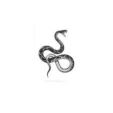 Tattooideas Besttattoomodels Snake Tattoo Design Snake Tattoos Snake Tattoo