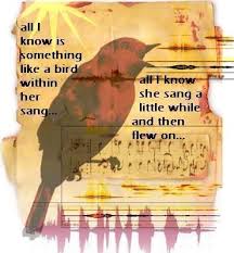 Bird Bird Bird Bird Is The Word Lyrics Pin By Katie O On Grateful Dead Songs Grateful Dead Lyrics Bird Song Lyrics