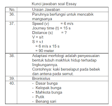 Dan sebentar lagi akan menuju ke tingkat provinsi dan akhirnya ke tingkat nasional. Latihan Soal Osn Ksn Ipa Sd 2021 Pendidikan Kewarganegaraan Pendidikan Kewarganegaraan