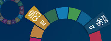 What type of customer are you? Report Driving Corporate Action Towards Accomplishing The Sdgs