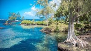 How is carlsmith beach park rated on tripadvisor? Carlsmith Beach Park Beaches On Big Island Hilo Hawaii
