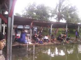 Pemancingan Padalarang Youtube