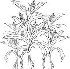 Ear corn coloring page sun pages. Printable Corn Stalks Fall Coloring Page For Kids Fall Coloring Page Coloring Pages For Kids Farm Animal Coloring Pages