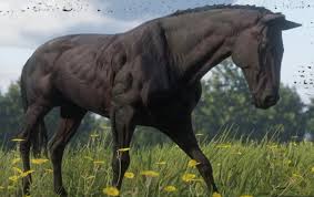 Red Dead Redemption 2 Has A Horse For Your Every Need