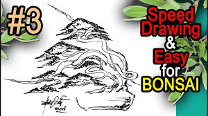 Bonsai Trees Drawing 3 By Tedy Boy Bonsai Indonesia By Tedy Boy Bonsai