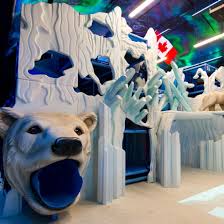 Polar Playground Indoor Playgrounds Winnipeg Jpg 660 660 Kids Indoor Playground Indoor Playground Murphy Bed Plans