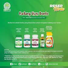 Radang Usus Buntu Herba