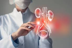 What is urology?? - United Heart Hospital & Clinic
