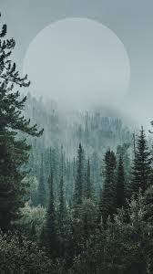 3840x2160 aesthetic view 4k wallpaper> Iphone Wallpaper Backgrounds Blackwallpaperiphone Iphone Wallpaper Backgrounds Landscape Wallpaper Forest Wallpaper Iphone Forest Wallpaper