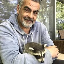 'I felt like a criminal:' Raccoon rescue in Brock Township ends with two  employees out of work