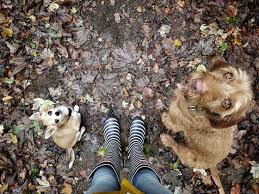 Schau' anne wünsche pornos gratis, hier auf pornhub.de. Hundetraining Deichhunde