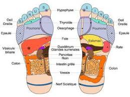 La Reflexologie En 2020 Exercices Abdos Homme Massage Pieds Massage
