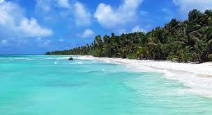 What is the largest fish in the world? Which Sea Was Immortalized By Jules Trivia Questions Quizzclub