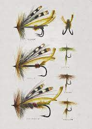 They're real experts who are dedicated to the our team of professionals has developed lots of patterns that are now standards throughout the fly fishing world. Fly Fishing Flies Poster By Aged Pixel