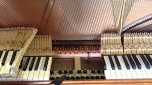 These are the times of year when the humidity changestarts to shrink The Ultimate Guide To Piano Care How Often Do I Need To Tune My Piano Merriam Music Toronto S Top Piano Store Music School