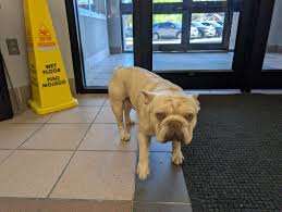 Bergen - Clifton, NJ Found Miley Quintana, *** -*** years old. she was ...