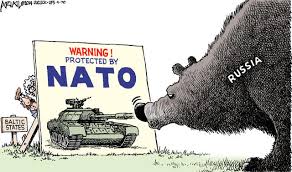 Image result for NATO CARTOON