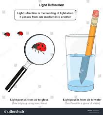 Light Refraction Infographic Diagram With Examples Of Pencil In A Glass Of Water And Using Hand Lens To See Ladybug For Physic In 2020 Hand Lens Infographic Refraction