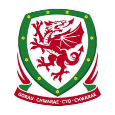 Resultat foot des matchs de ligue 1 et ligue 2. Belgique Pays De Galles Qualif Cm Europe France Football