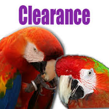 I take my pet raccoon shopping at the pet store. My Safe Bird Store Discounted Bird Products Bird Free Environment Free Shipping Available