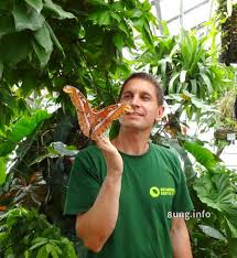 Liebe besucherinnen und besucher, herzlich willkommen im botanischen garten! Garten Impulse In Jena Zweiter Sieger In Allen Klassen Kulturmagazin 8ung Info